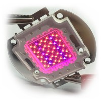 Светодиоды (COB LED chip) (9)